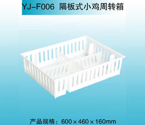 YJ—F006 隔板式小鸡周转箱